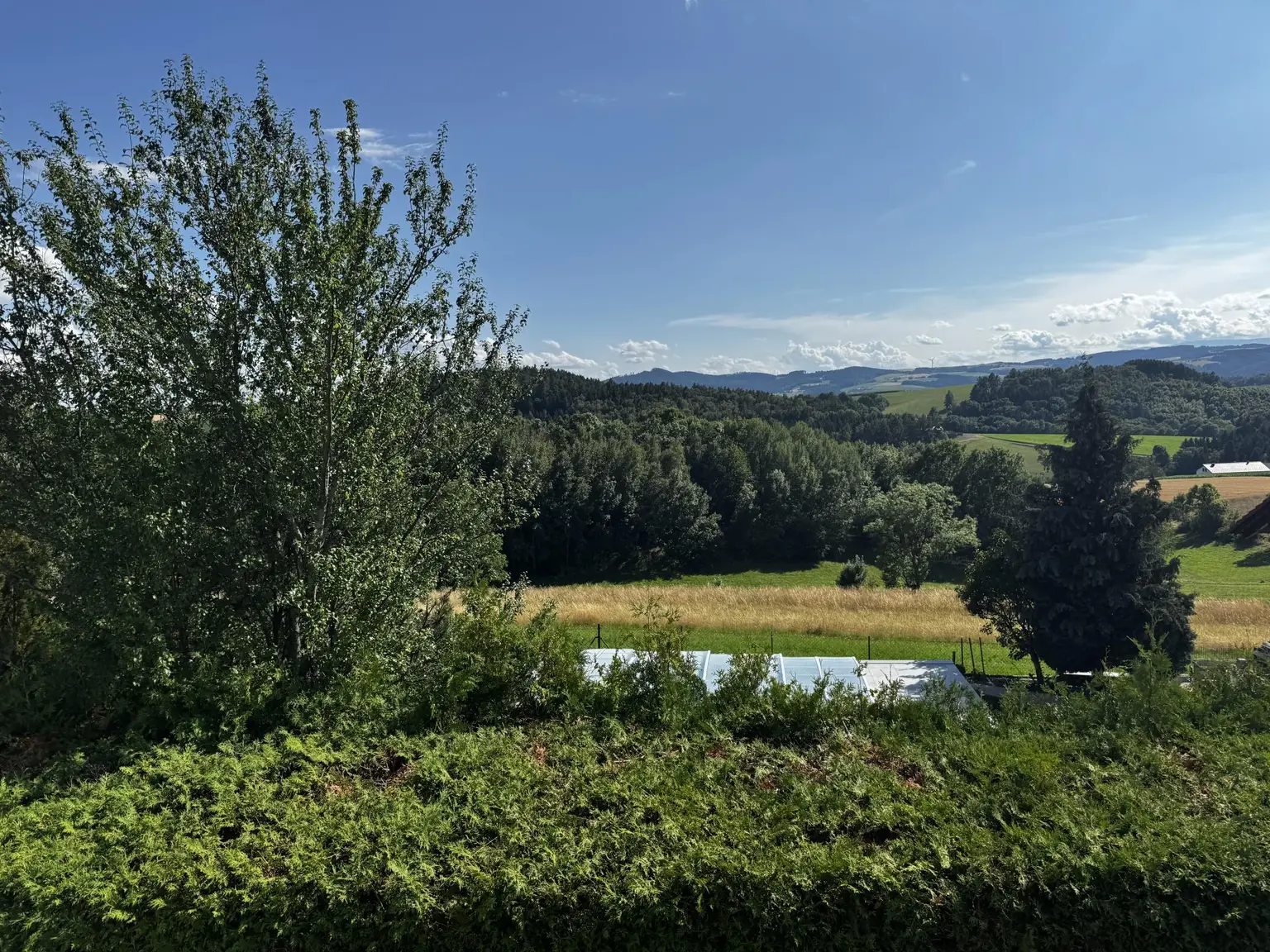 Einzigartige Liegenschaft mit Wald und Panorama