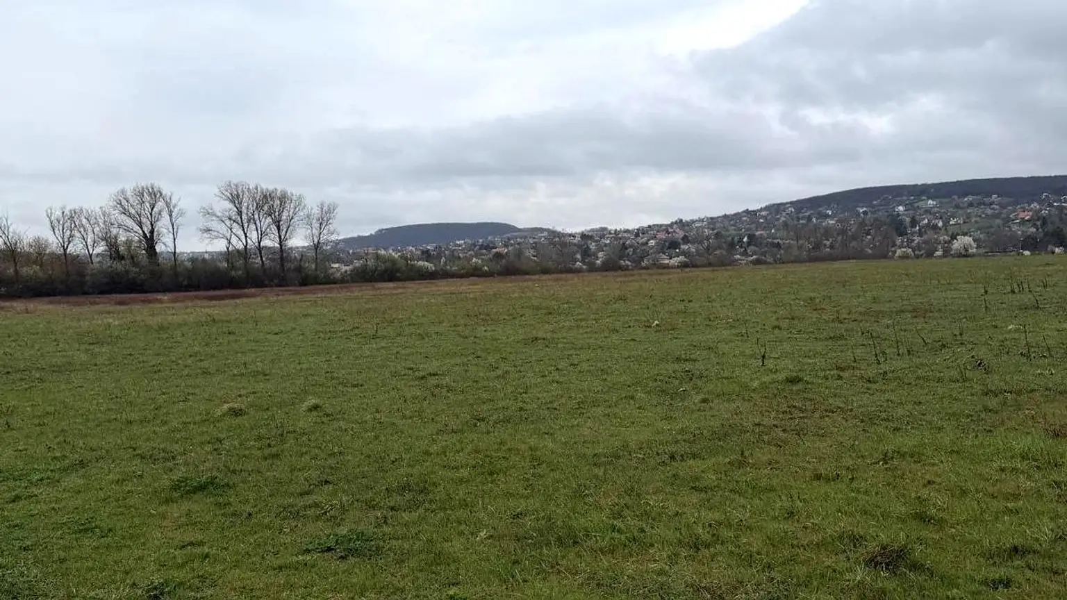 01_panorama_landscape