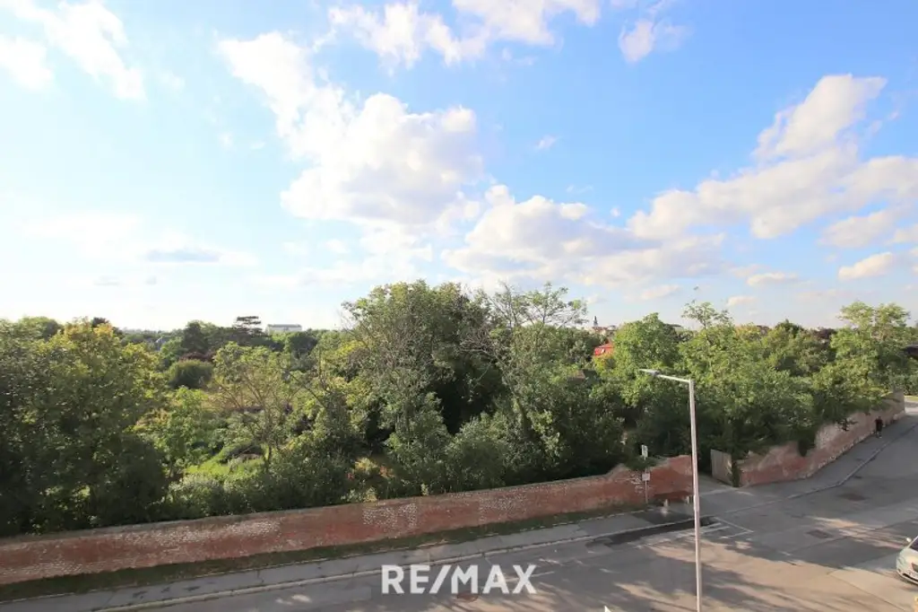 Panoramablick beim Park - großzügige 3-Zimmer Wohnung in Bestlage:  grün, ruhig, hell!