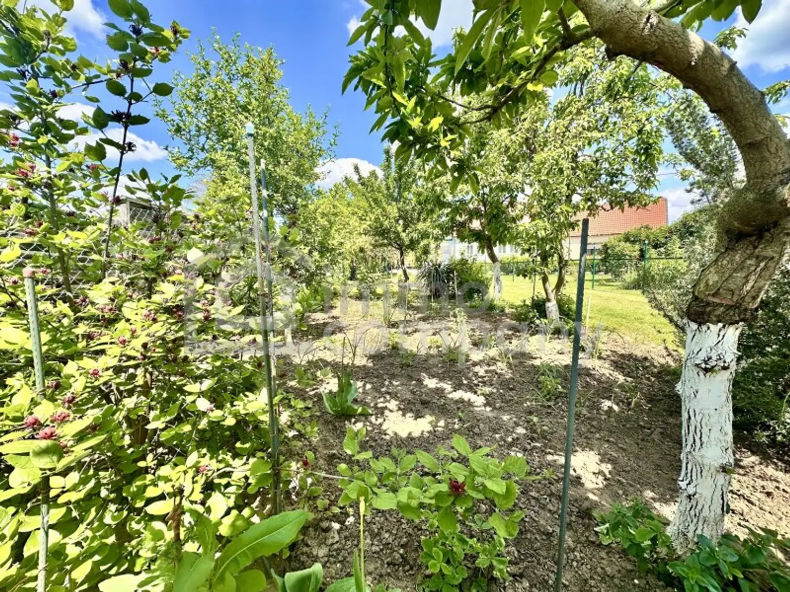 Einfamilienhaus in Schönkirchen-Reyersdorf: 5 Zimmer, Garten, Baugrund – Ihr neues Zuhause!