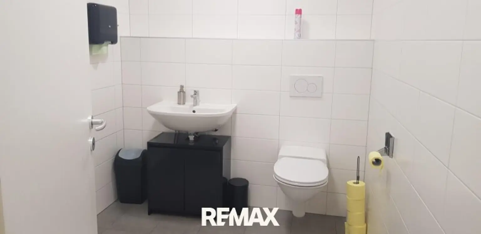 Toilette mit Handwaschbecken-Beispielbild