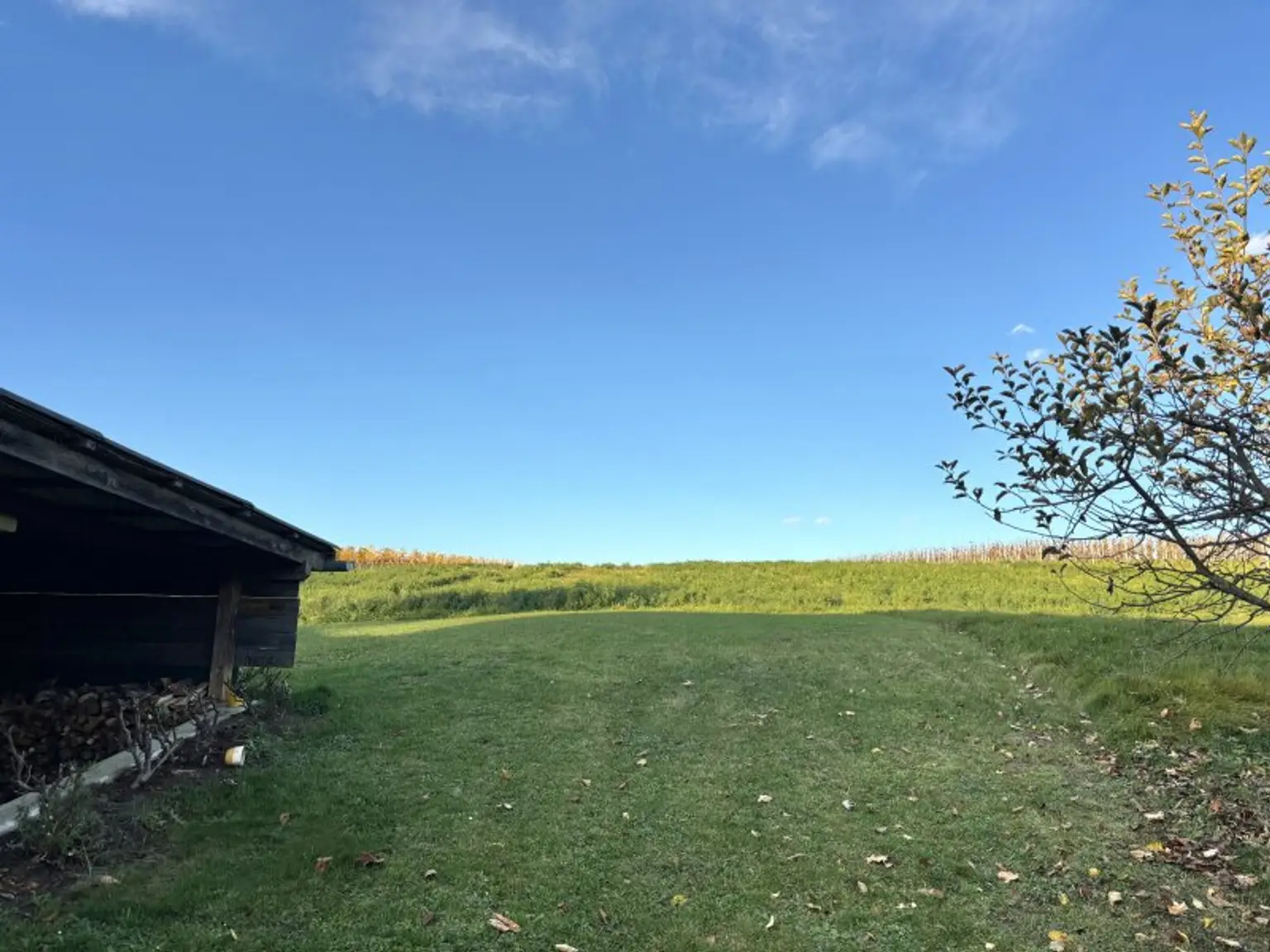 ** LEGENDE IN DER WEINIDYLLE ** D. Ehrensdorf !! Gepflegtes Haus mit ca. 245 m2 Nfl. in gediegener Ortsrandlage - Hauptwohnsitz möglich !!