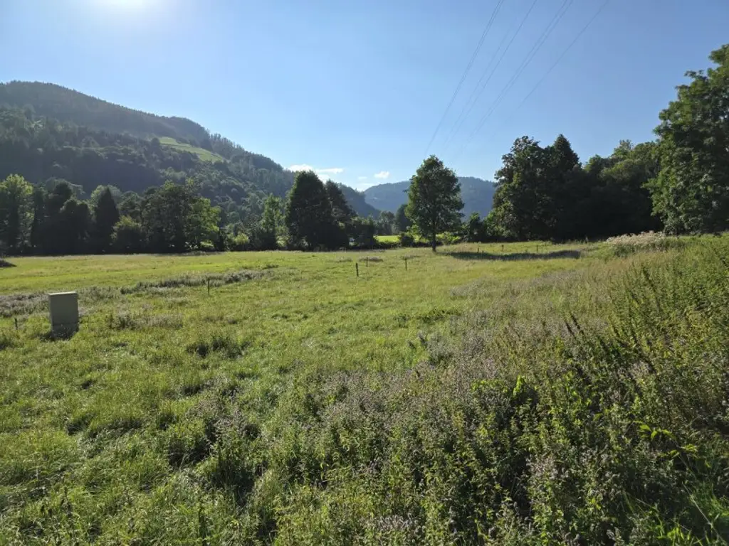 Sonniges Wohnerlebnis mit schöner Aussicht!