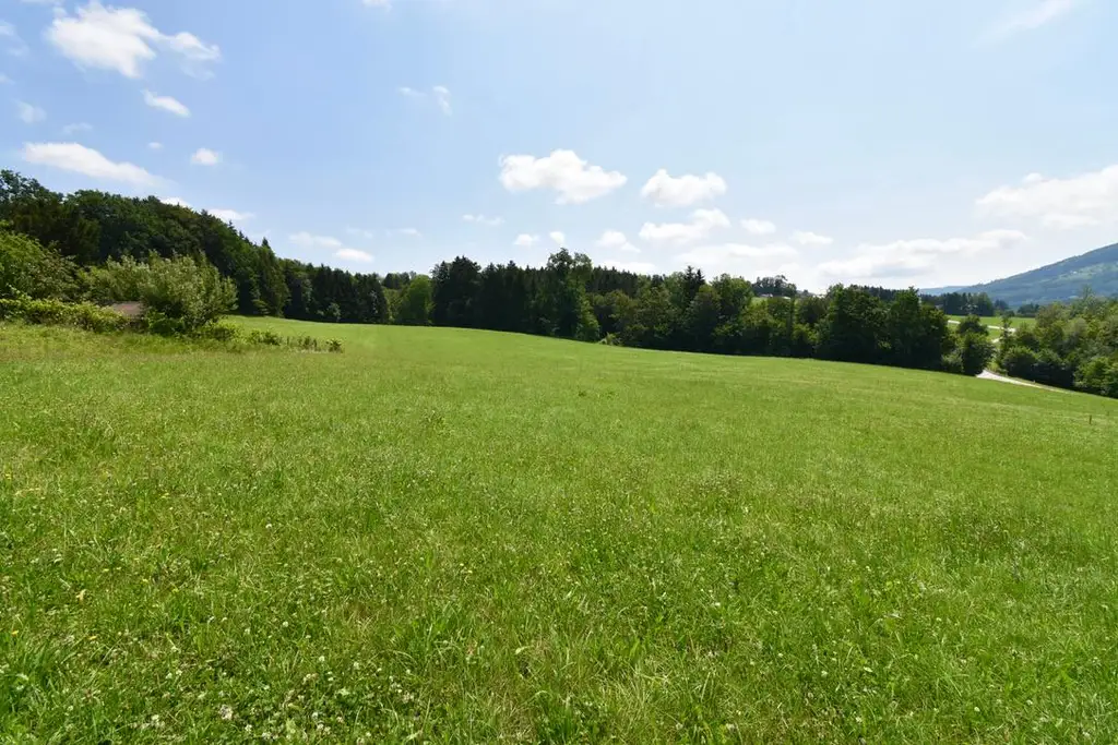Wohnen im Grünen & doch stadtnah! 881m²  Baugrund mit traumhaftem Ausblick in ruhiger/grüner Lage!