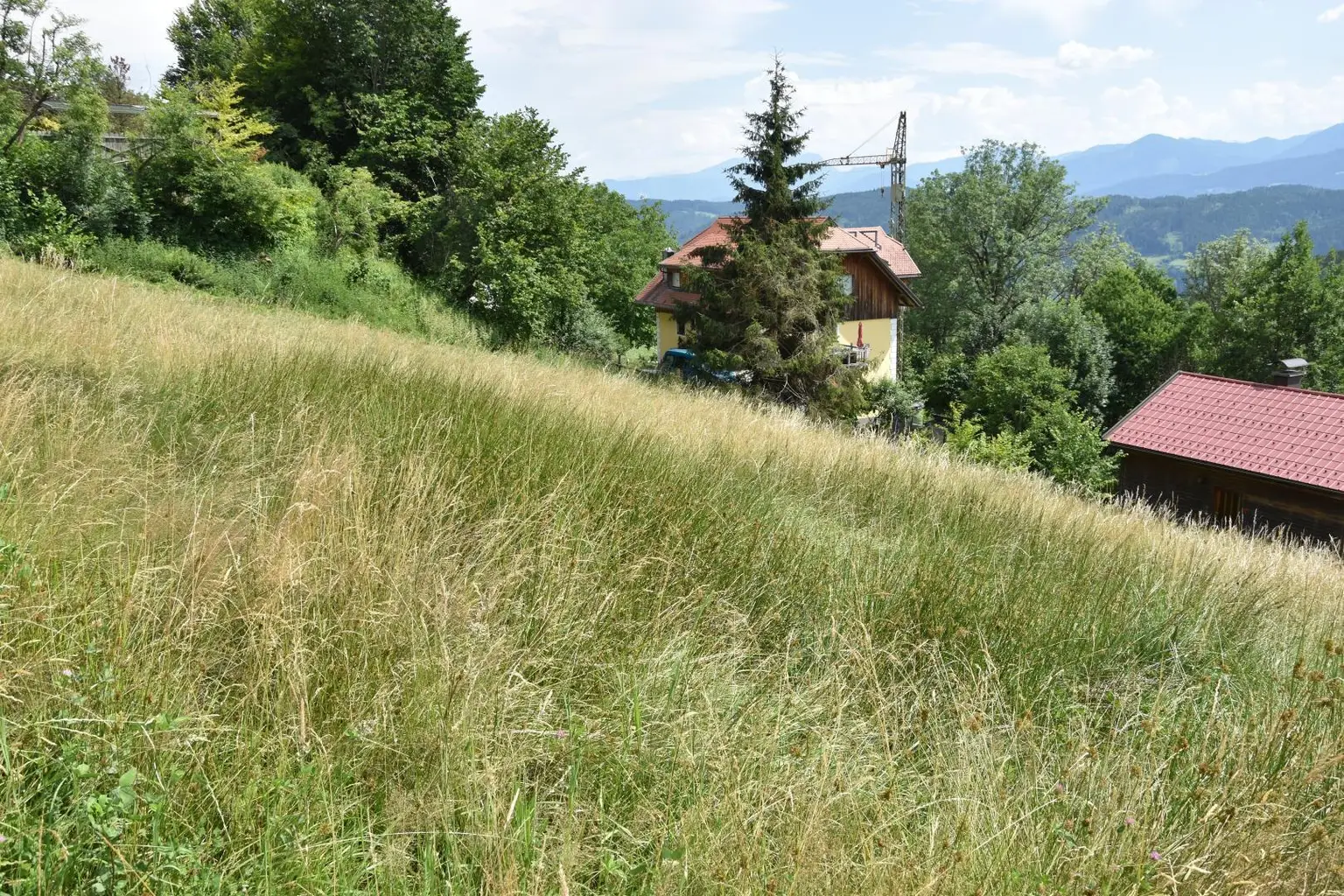 Panoramablick