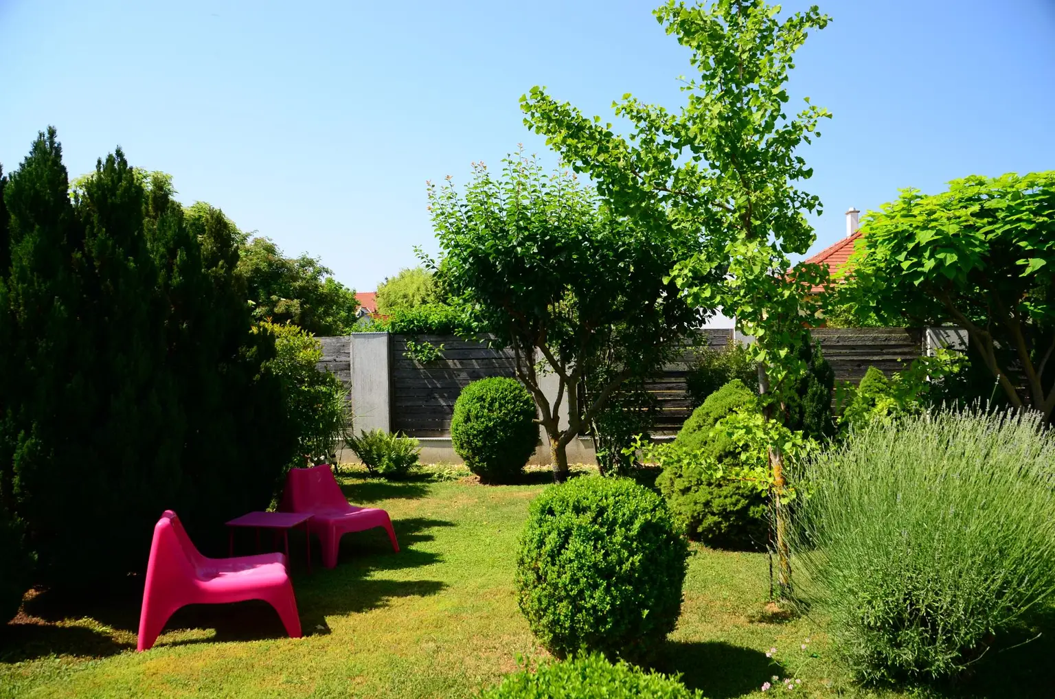 Traumhaus in Purbach am Neusiedlersee