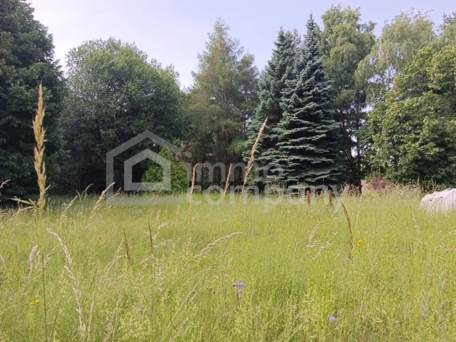 Ihre Gelegenheit! Grundstück in Traumlage mit Waldbestand!