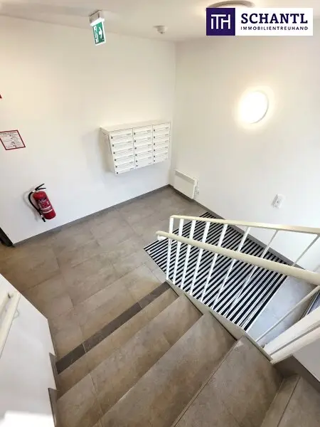 Ihr Platz im Grünen! TOP-Neubauprojekt in Grün- und Ruhelage - Klimaktiv Bronze zertifiziert! Wärmepumpe und Solaranlage + Nachhaltig + Perfekt geplante 2-4 Zimmer Wohnungen! Leben an naturnahen Gewässern!