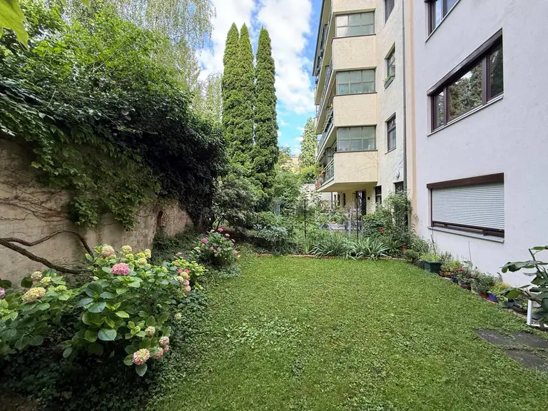 Blick in Garten