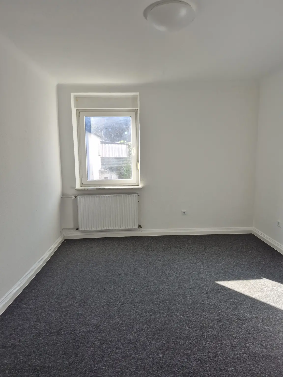 Zimmer1