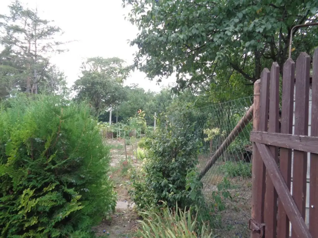 Zistersdorf/ A5 -Nähe: Wohnhaus mit Garten und Garage in absoluter Ruhelage