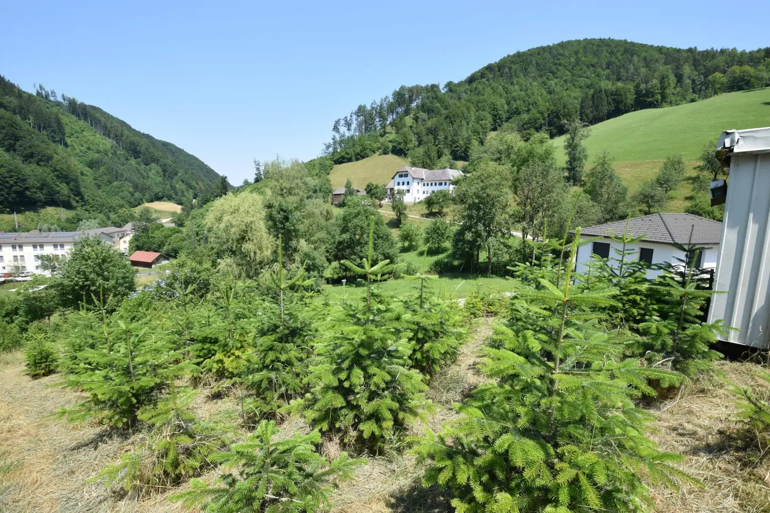 Grundstück mit Weitblick