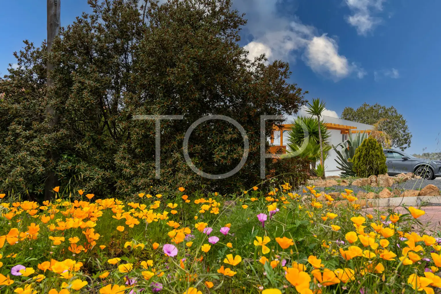 Haus-Vilaflor-xxx-Teneriffa-33