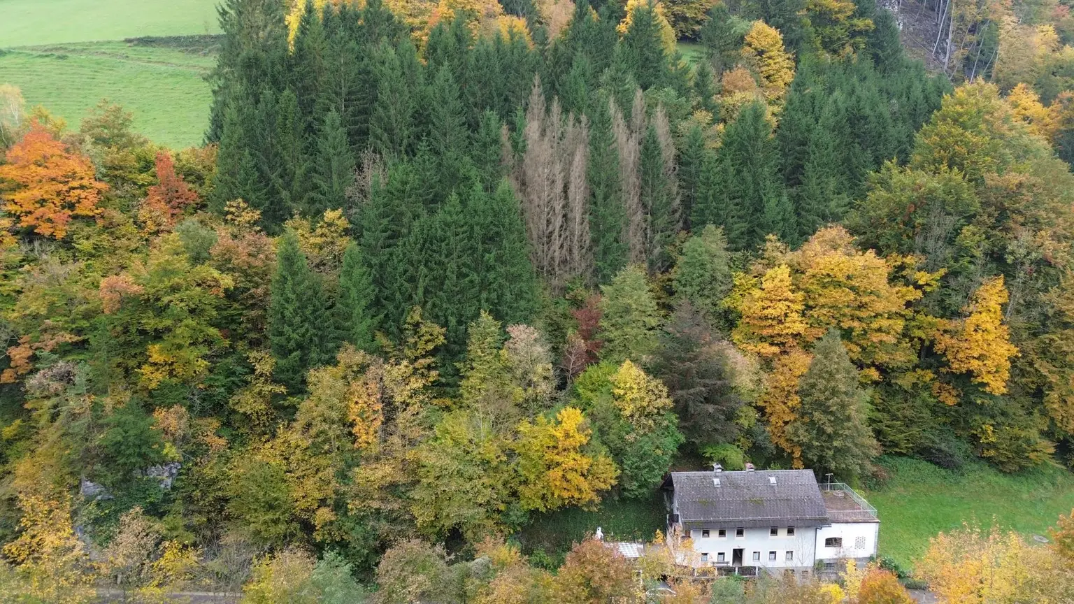 Wohnhaus mit großem Waldgrundstück