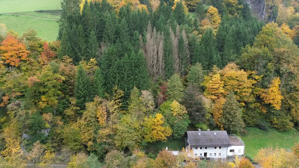 Wohnhaus mit großem Waldgrundstück