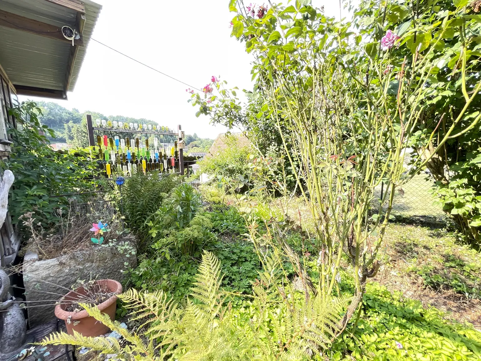 Gartenansicht