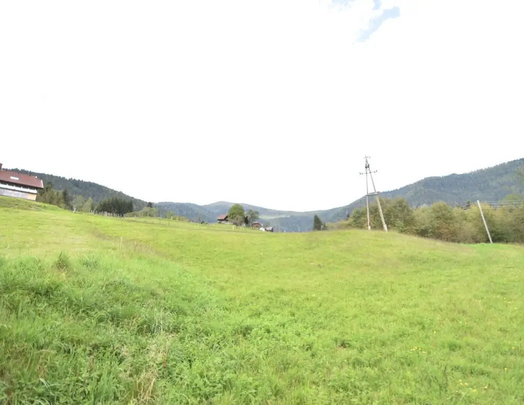 "Traumhaftes landwirtschaftlich genutztes Grünland nahe der Gerlitzenalpe"