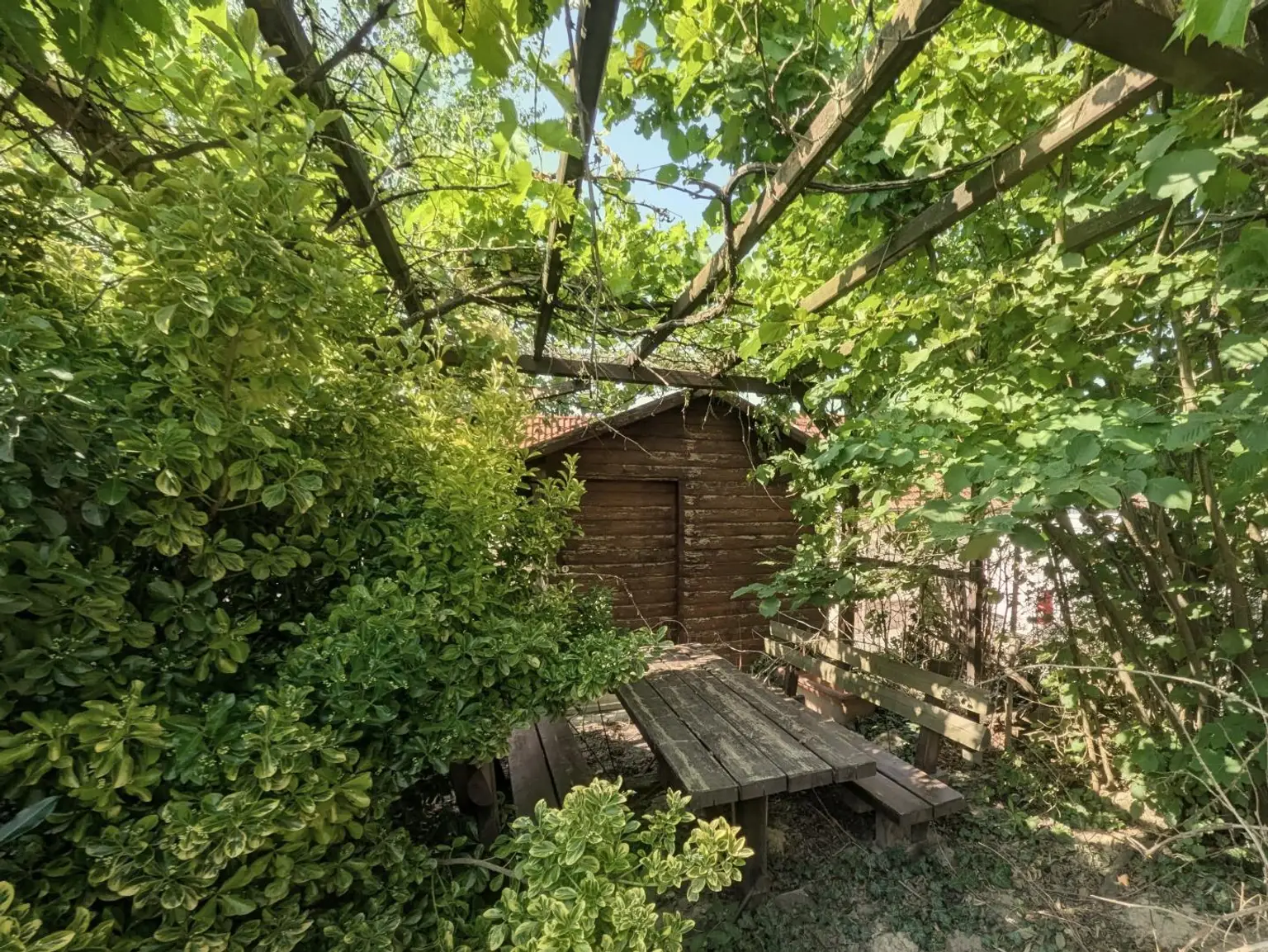 Gartenlaube