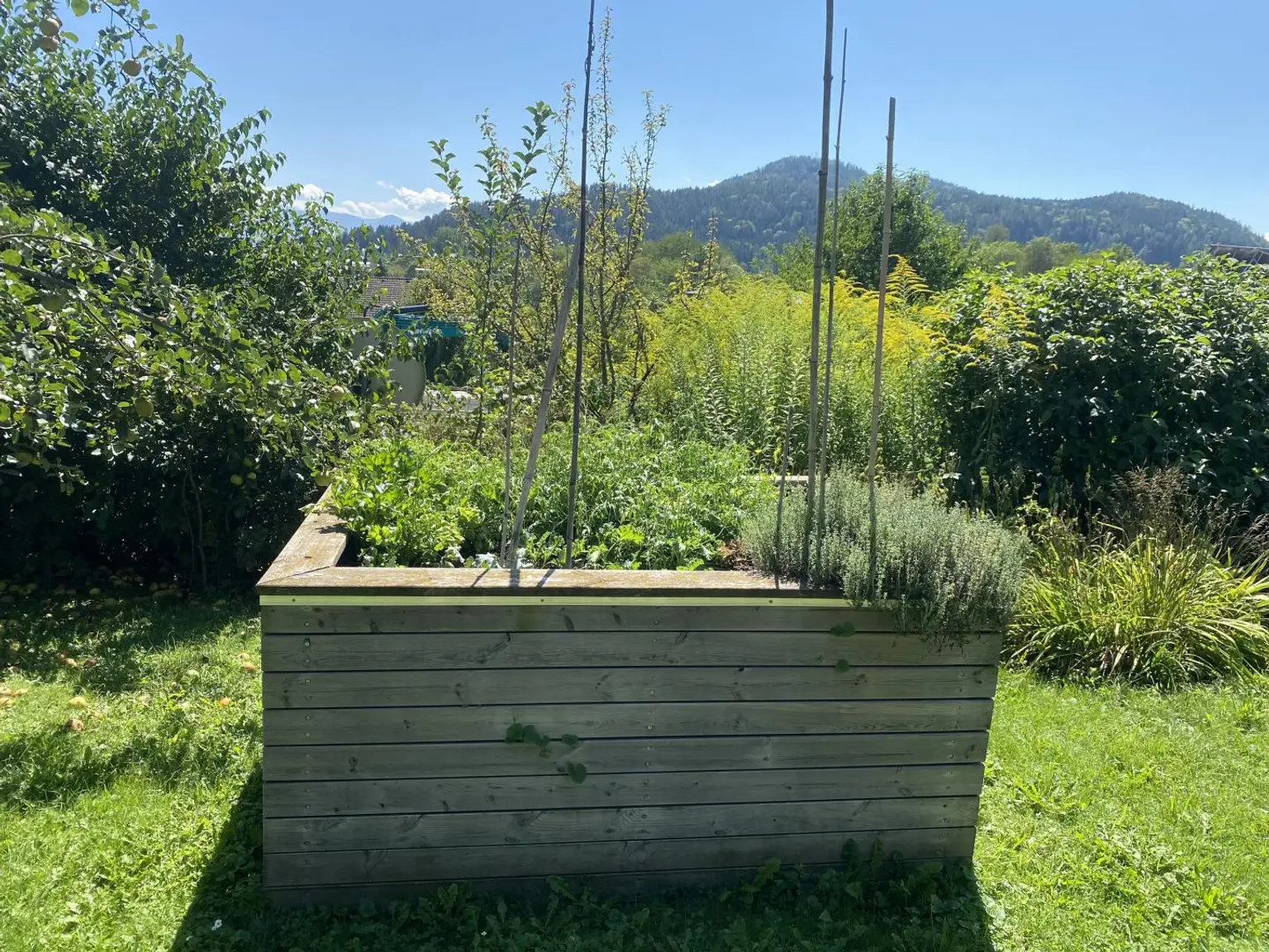 Hochbeet
