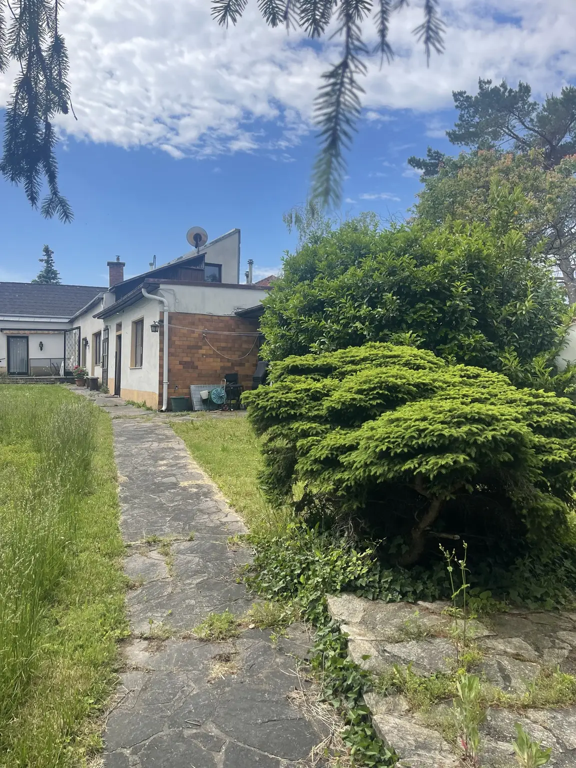 25 %  geschlossene Bauweise, Bauklasse II - keine Einschränkung auf Wohneinheiten