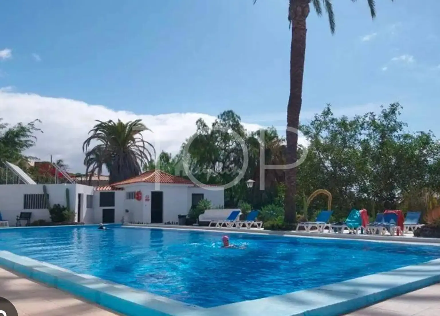 House-Chayofa-Community-Pool-Tenerife-1