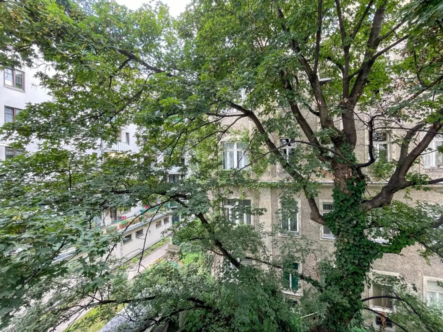 GENERALSANIERTE ALTBAUWOHNUNG: komplett hofseitige 2-Zimmerwohnung