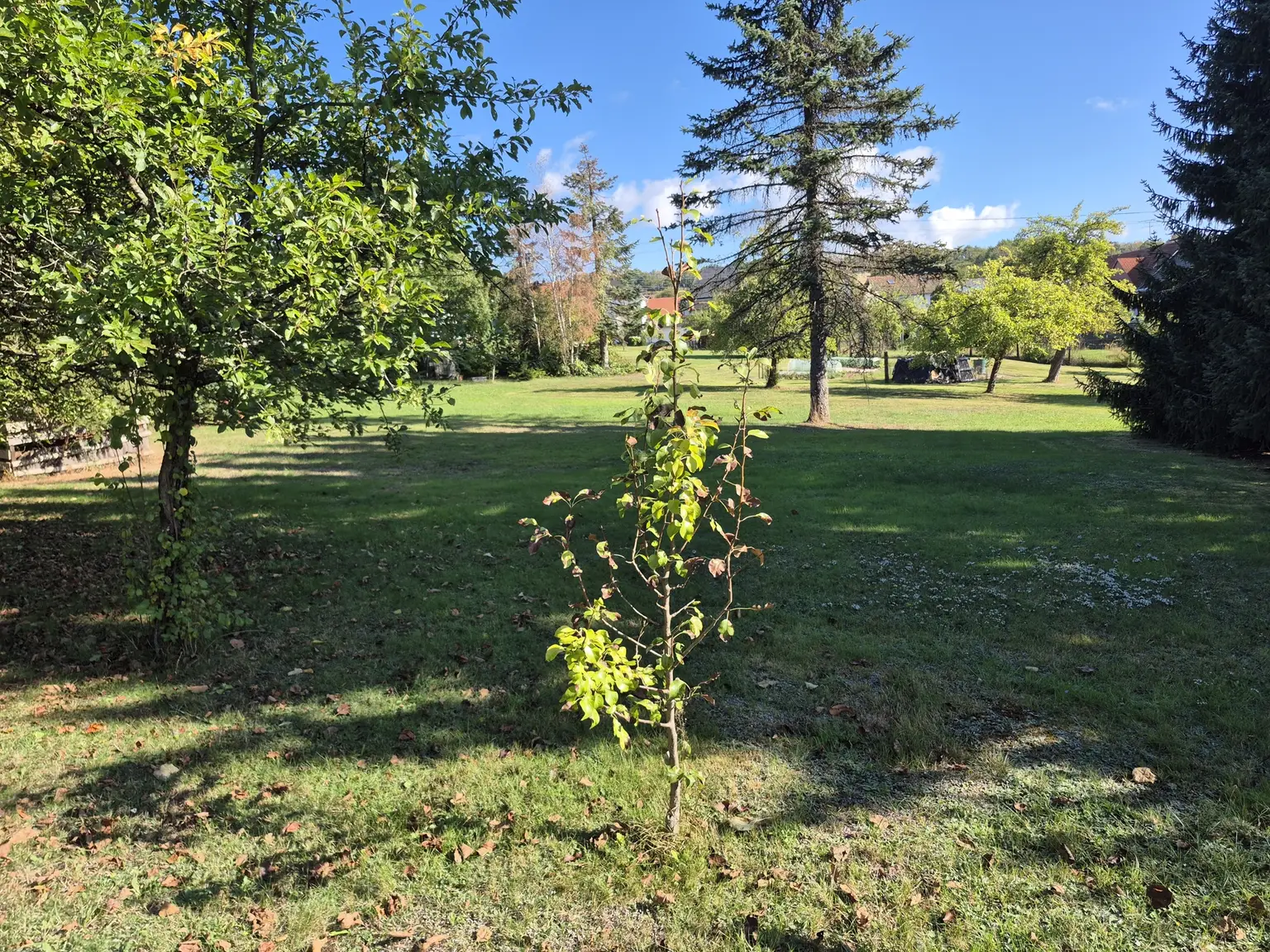 Garten1