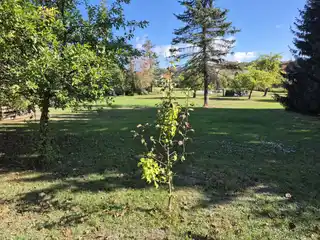 Garten1