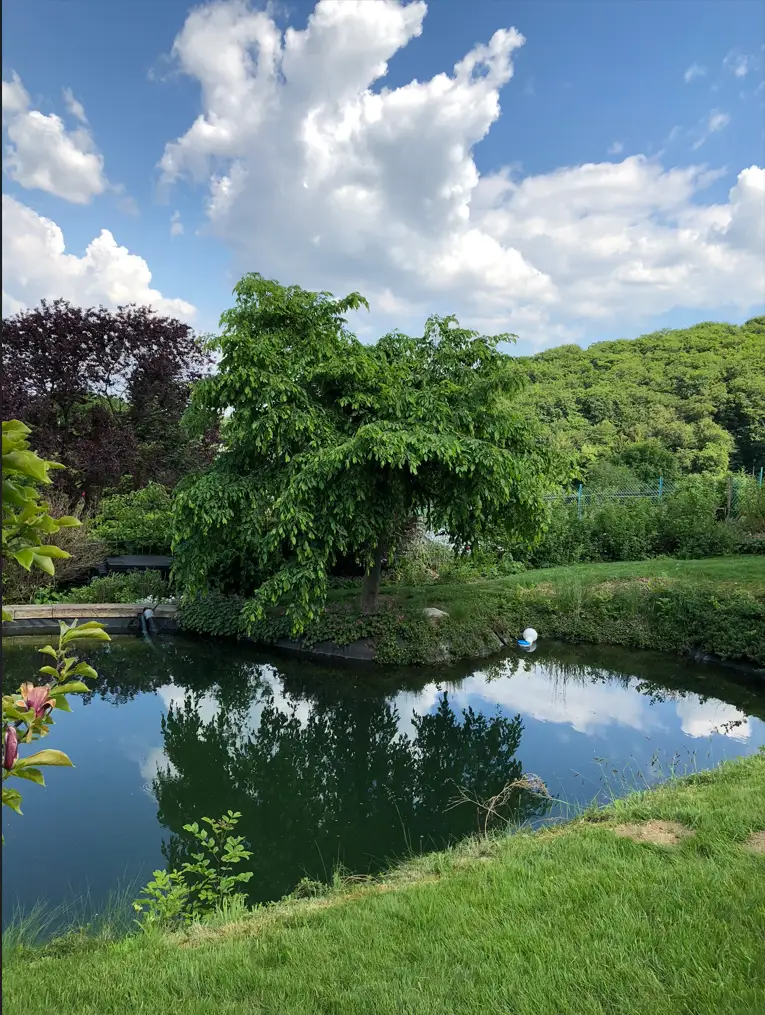 FAMILIENDOMIZIL MIT SCHWIMMTEICH