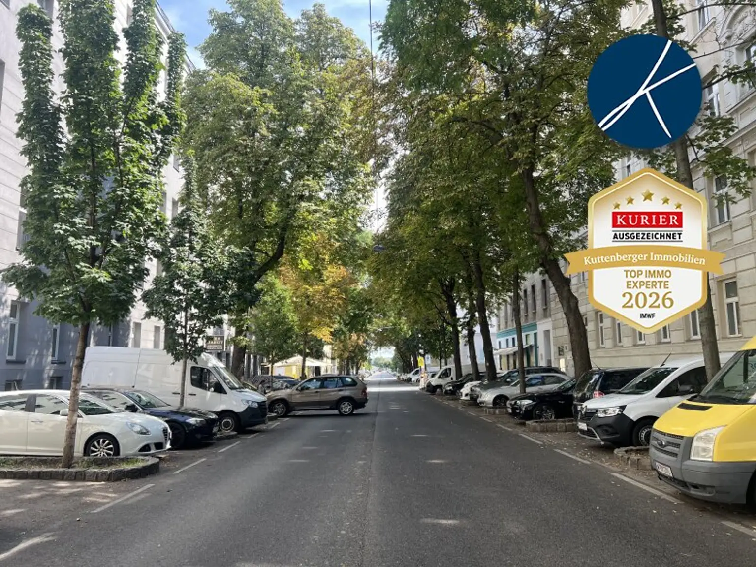 Alleestraße mit Altbaumbestand