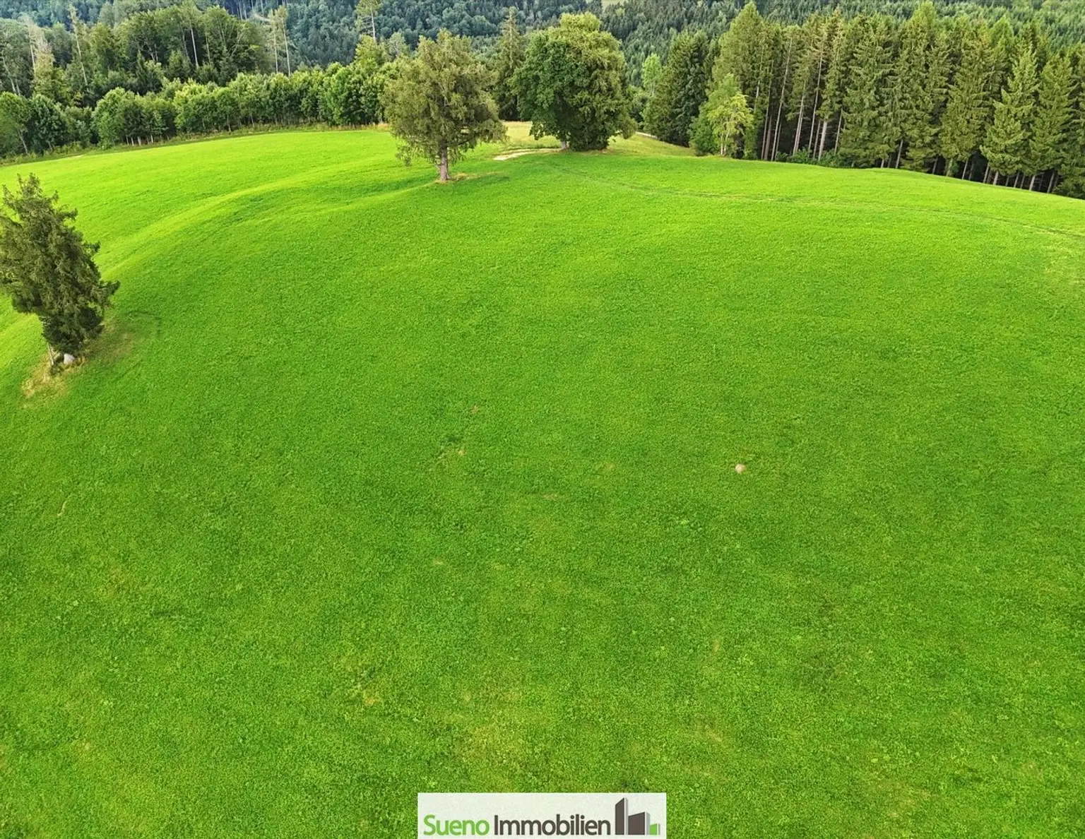 TRAUM-BERG GRILLPARZ im Herzen des Kremstals zum Verkauf! Über der Nebelgrenze!