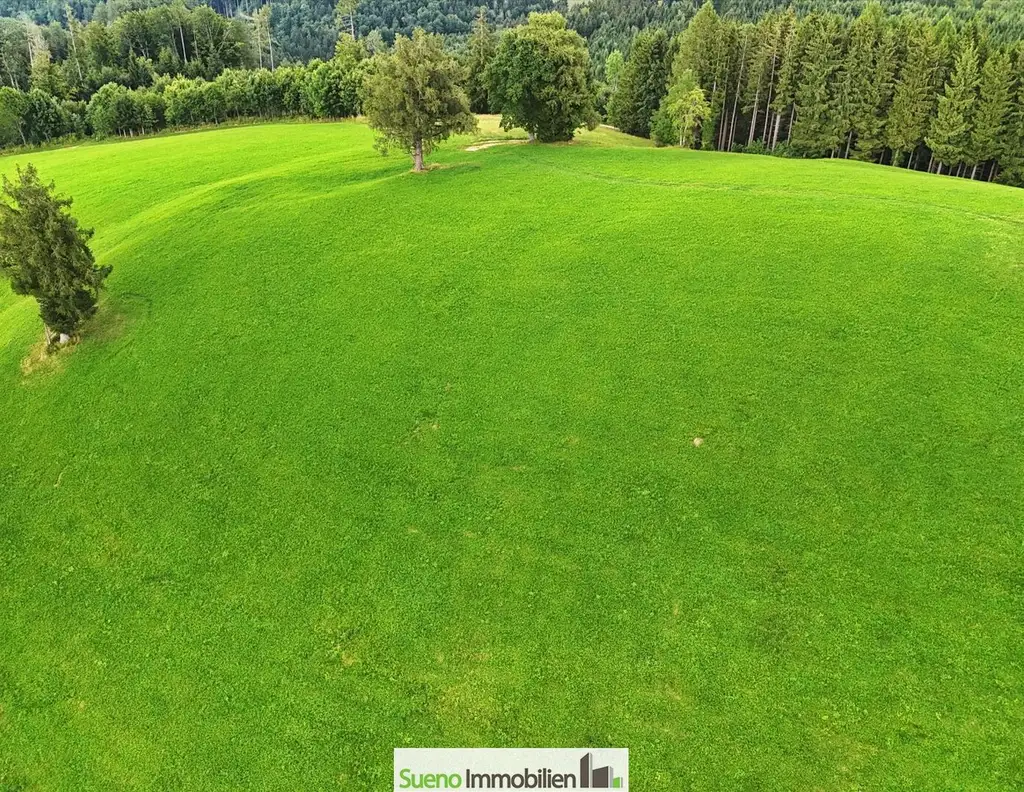 TRAUM-BERG GRILLPARZ im Herzen des Kremstals zum Verkauf! Über der Nebelgrenze!
