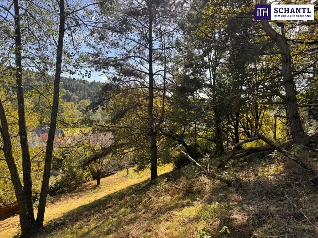 PREISREDUKTION! Attraktiver Baugrund inkl. Bewilligung für Wohnbauprojekt mit 4 Doppelhaushälften! Jetzt Anfragen!