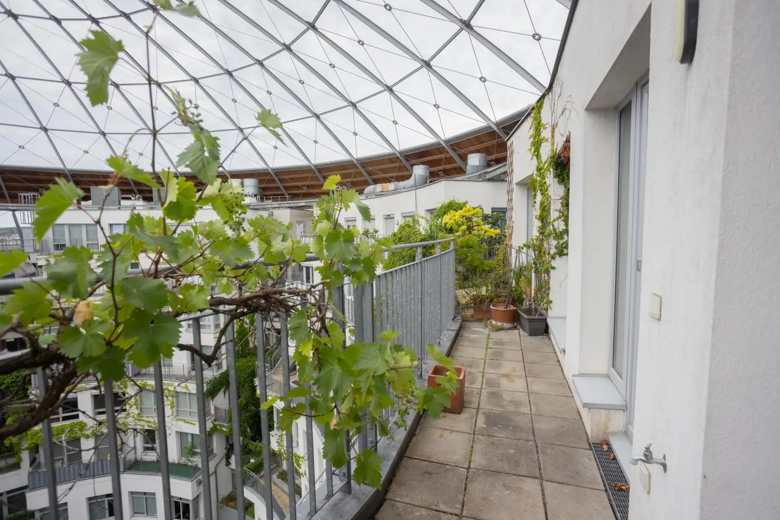 obere Terrasse südseitig