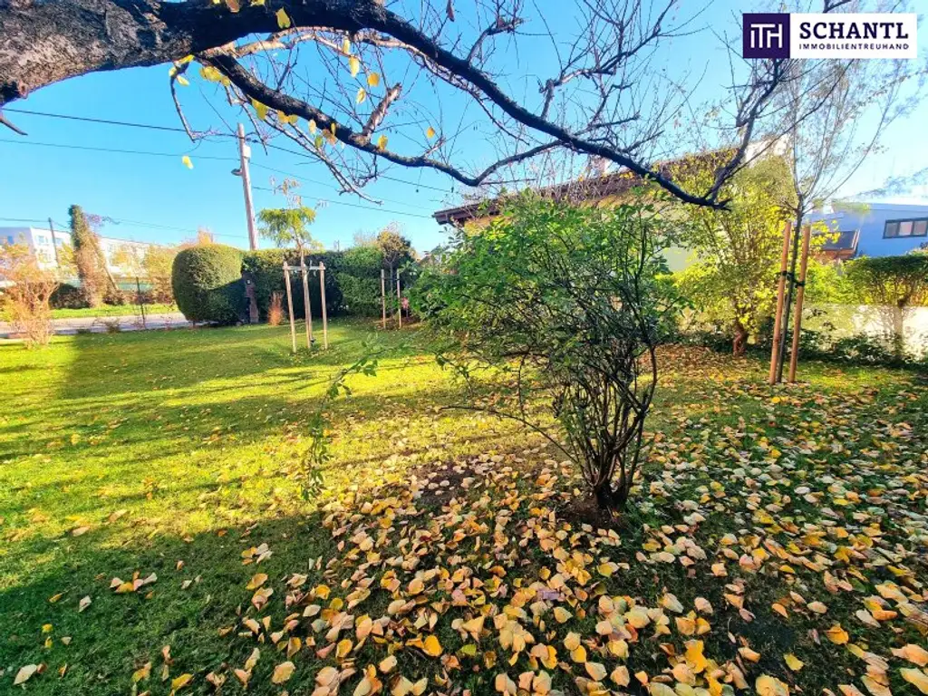 Fantastische 4-Zimmer Gartenwohnung! Mehr Natur. Mehr Ruhe. Mehr Grün. WOW! Riesiger Garten + Herrliche Terrasse + Lichtdurchfluteter Wintergarten + Stellplatz! Jetzt zugreifen!