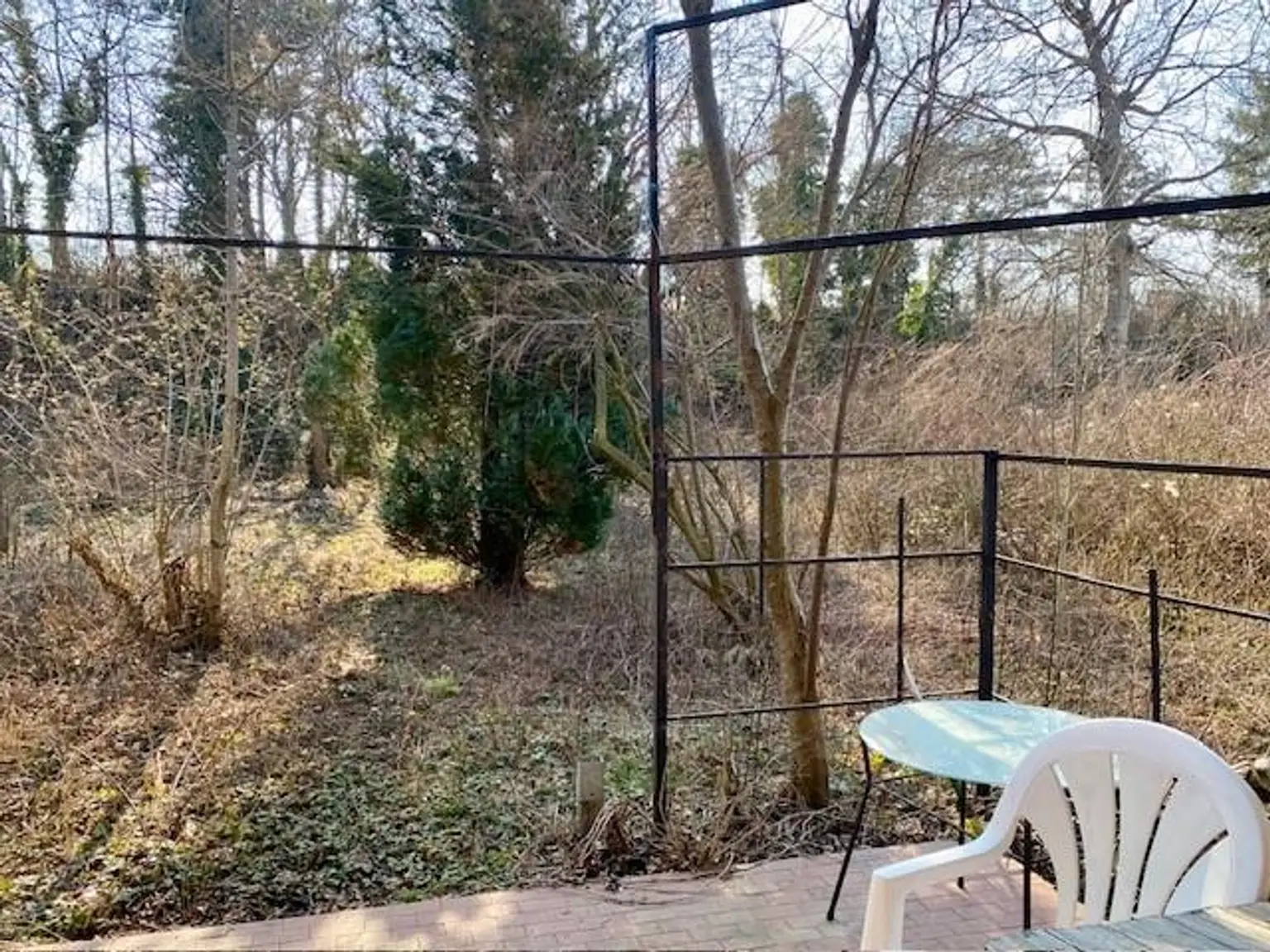 Blick von der Terrasse ins Grüne