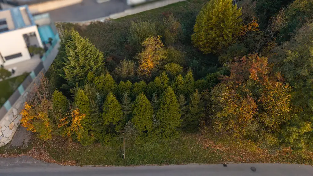 Vom Traum zum Zuhause – 821 m² Lebensfreude in Steinhaus - Grundstück mit vielen Möglichkeiten
