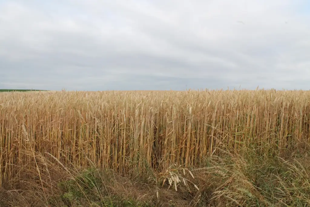 "Landwirte aufgepasst!"