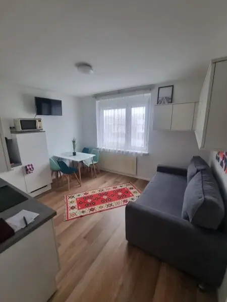 Reisenberg - perfekte Singlewohnung