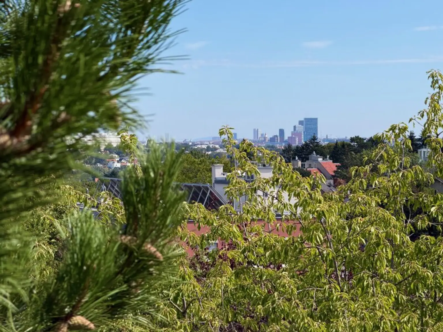 Ausblick vom Badezimmer
