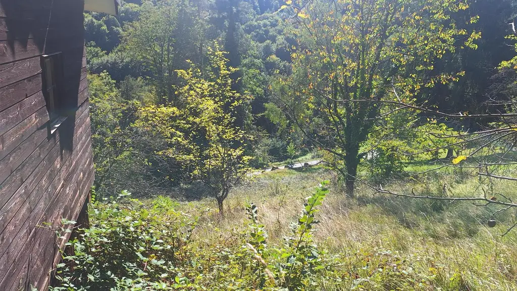 Traumhaftes Baugrundstück in Kranachberg bei Gamlitz – Ihr Platz an der Sonne