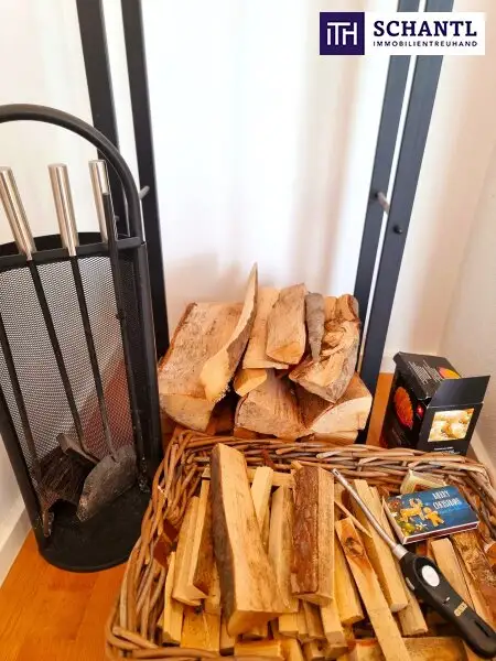 WOW! Lichtdurchflutete Traumwohnung mit hofseitiger Terrasse! Neues Lebensgefühl im Dachgeschoss mit perfekter Raumaufteilung + Kamin + Ideale öffentliche Anbindung! Jetzt zugreifen!