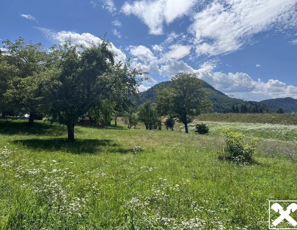 Ruhiges Idyll am Waldrand