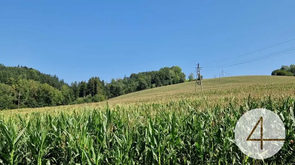 Ackerfläche von 8,8ha zu verkaufen