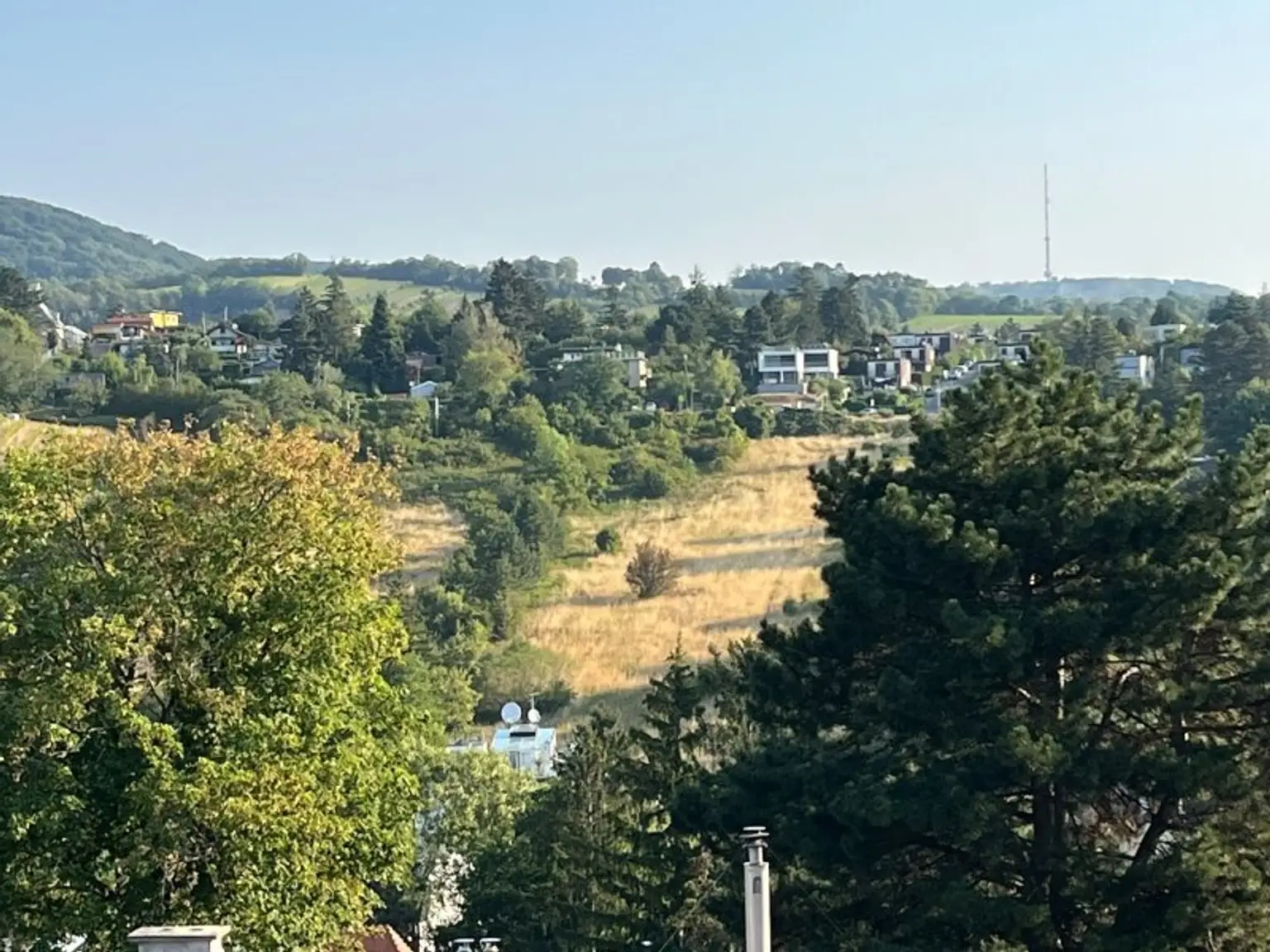 Ausblick