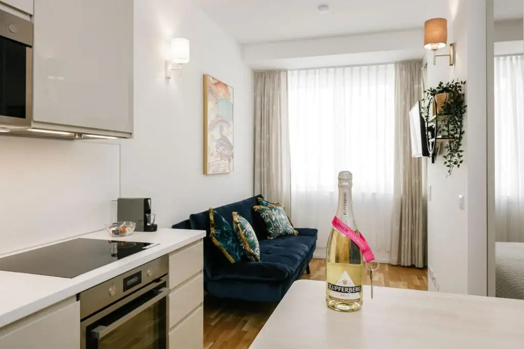 Einziehen & Wohlfühlen – vollmöblierte Neubauwohnung mit Top-Ausstattung ab 15.01.2026!