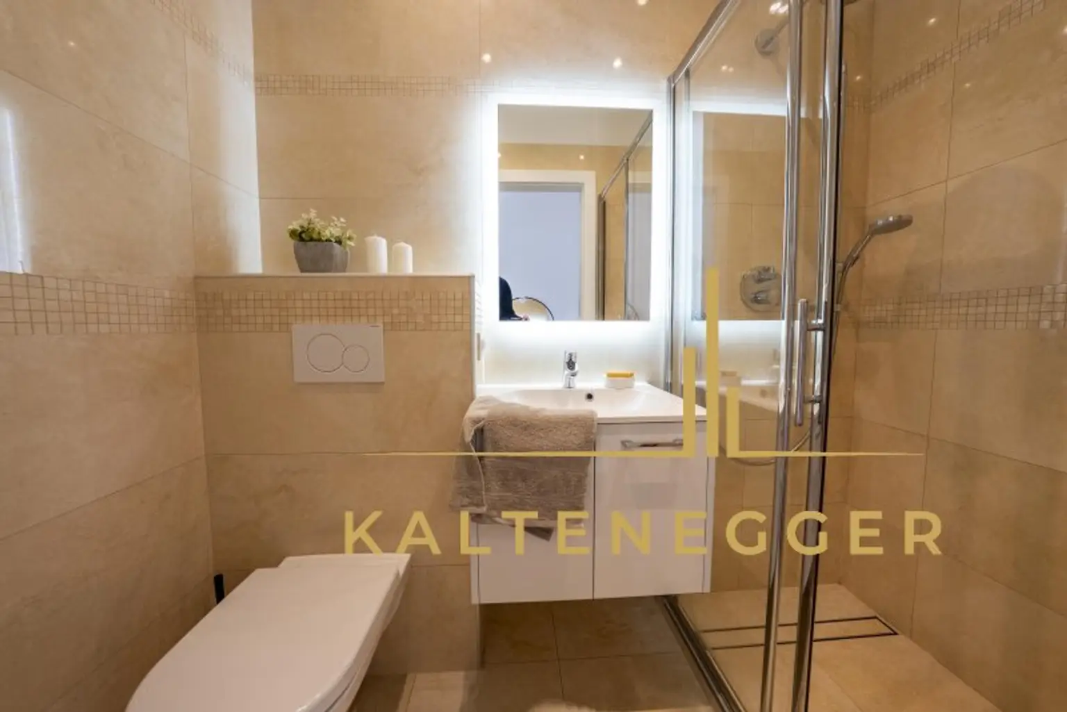 Luxusappartement in Wien-Döbling/Grinzing mit Einliegerwohnung, Terrasse, Pool, Garten und Garage