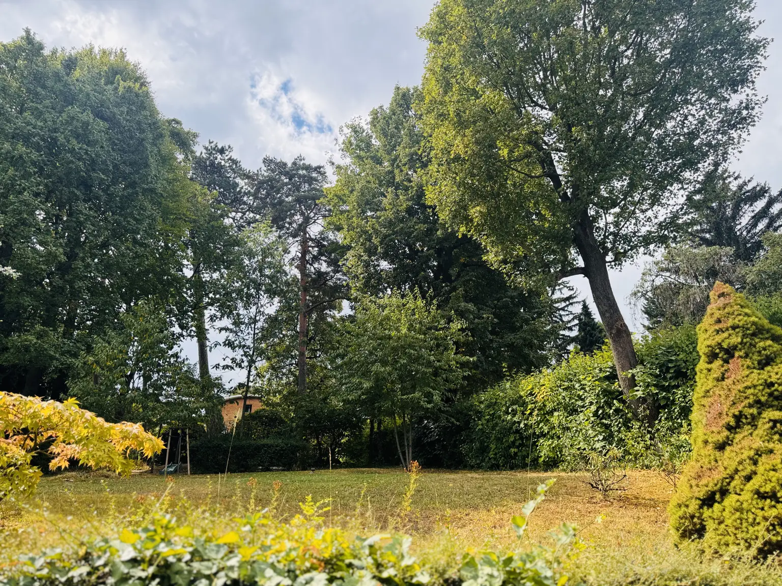 Allgemeingarten