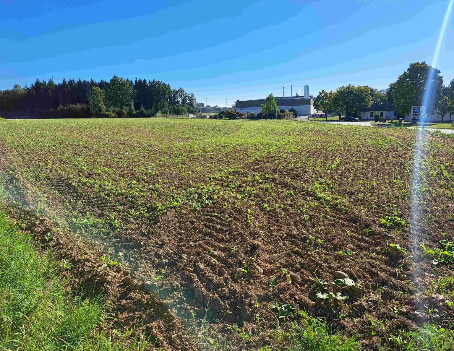 15.500 m² in TOPLAGE auf Baurechtsbasis zu pachten I Autobahnauffahrt A1/ A9 1,5 km entfernt