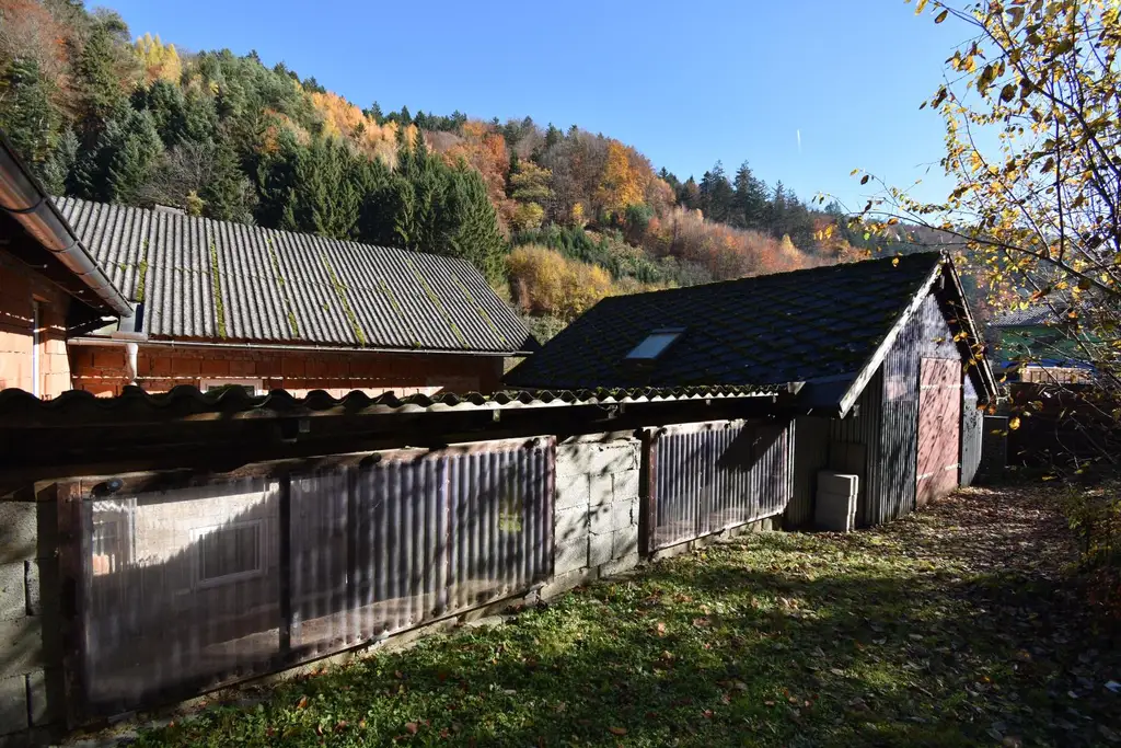 Wohnhaus mit SANIERUNGSBEDARF